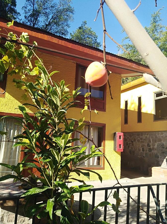 Refugio Coyoacán Villa Guayacan  Exterior foto